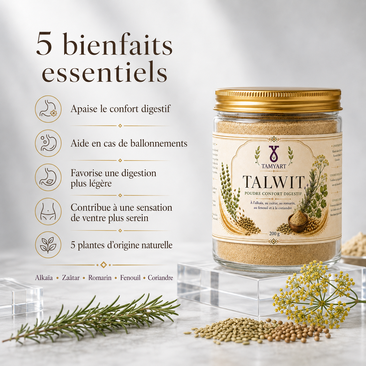 Talwit Poudre Confort Digestif