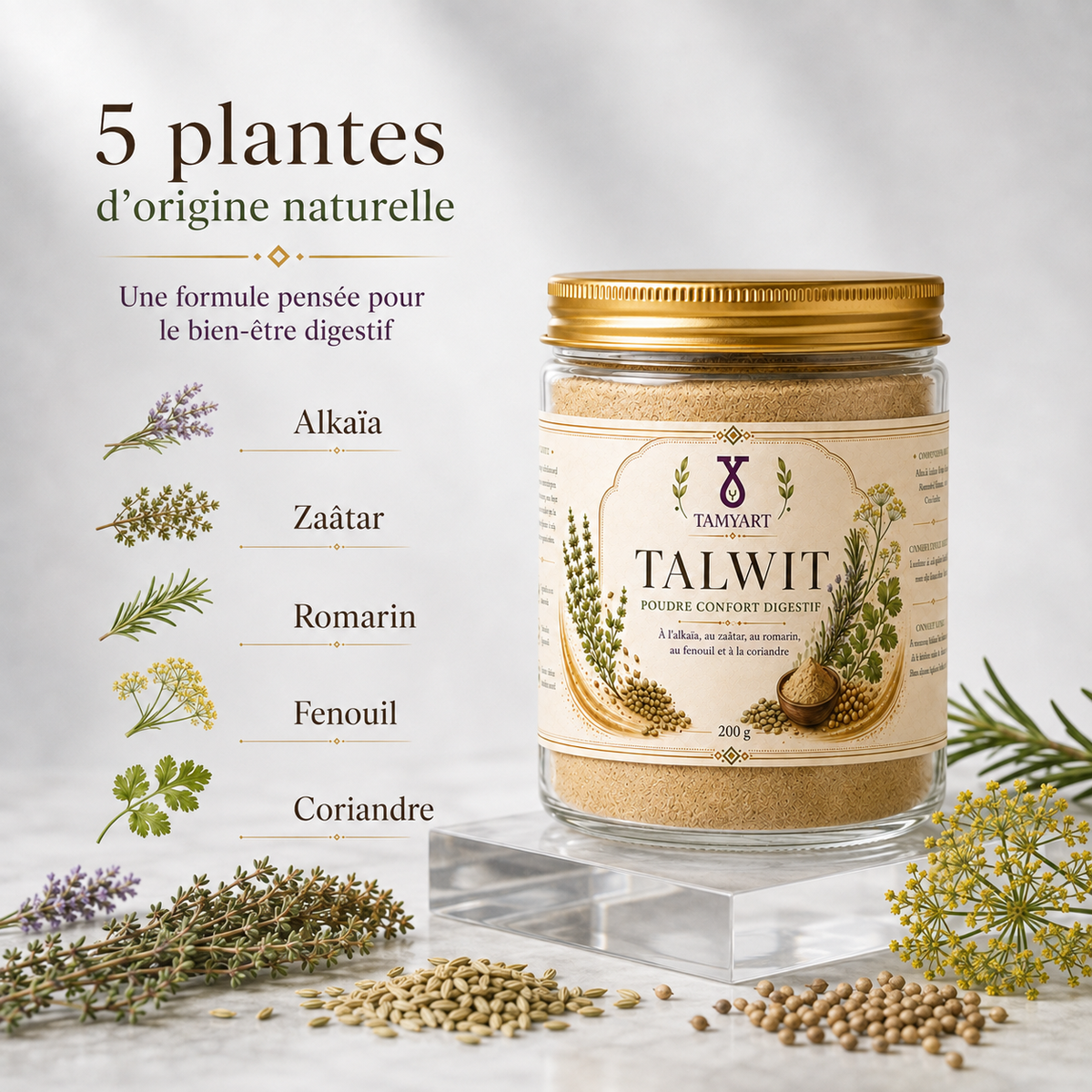 Talwit Poudre Confort Digestif