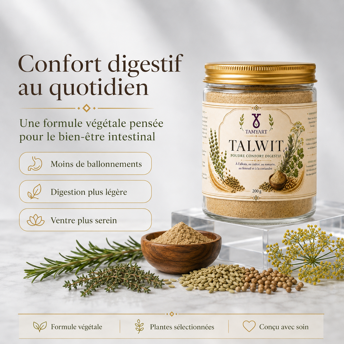 Talwit Poudre Confort Digestif